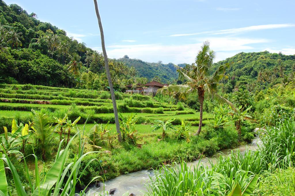 Indo Rumah Zengarden Pabean Buleleng Exterior foto