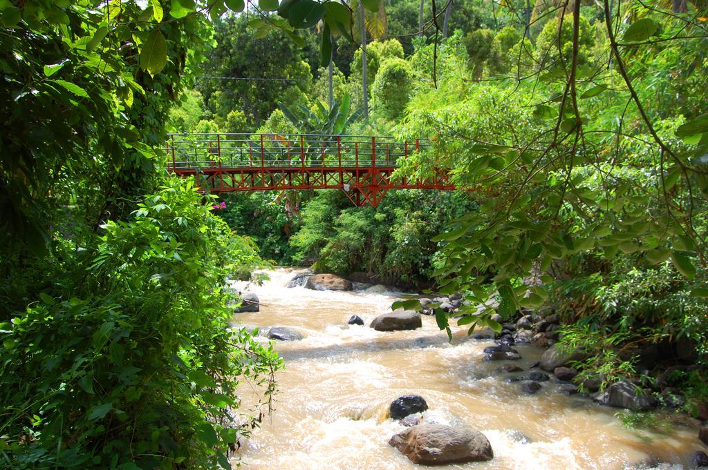 Indo Rumah Zengarden Pabean Buleleng Exterior foto